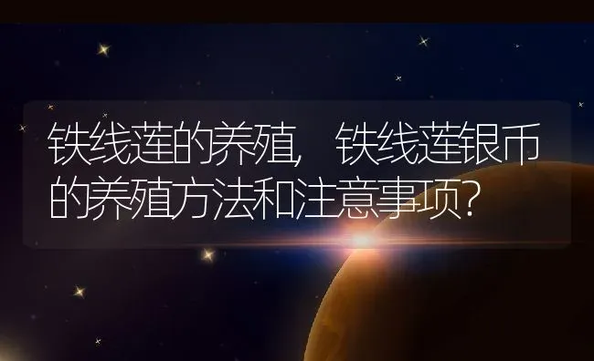 铁线莲的养殖,铁线莲银币的养殖方法和注意事项？ | 养殖常见问题