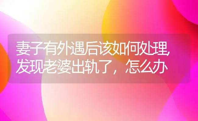 妻子有外遇后该如何处理,发现老婆出轨了，怎么办 | 养殖常见问题