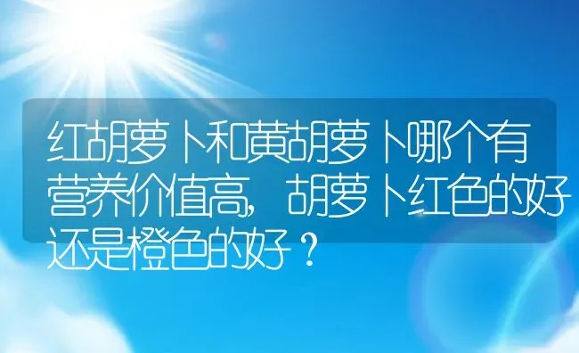 红胡萝卜和黄胡萝卜哪个有营养价值高,胡萝卜红色的好还是橙色的好？ | 养殖常见问题