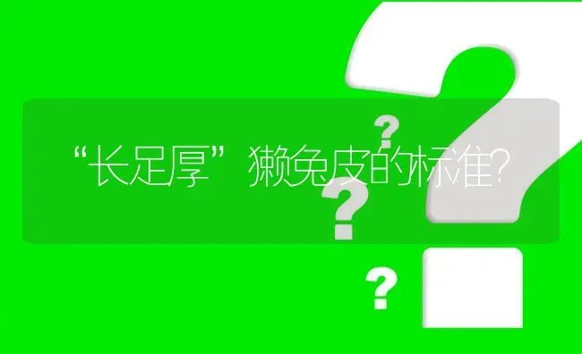 “长足厚”獭兔皮的标准? | 养殖问题解答