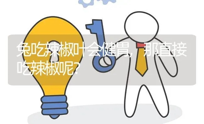 兔吃辣椒叶会健胃,那直接吃辣椒呢? | 养殖问题解答