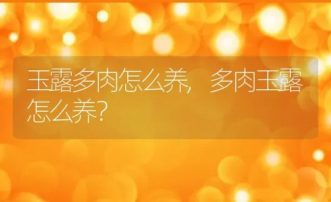 玉露多肉怎么养,多肉玉露怎么养？ | 养殖常见问题