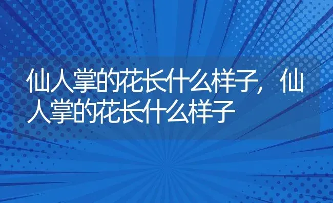 仙人掌的花长什么样子,仙人掌的花长什么样子 | 养殖常见问题