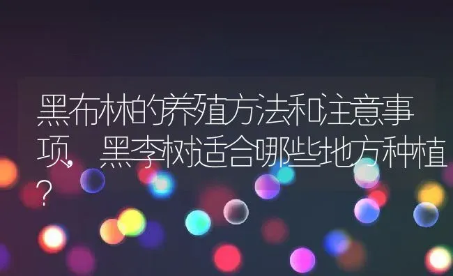 黑布林的养殖方法和注意事项,黑李树适合哪些地方种植？ | 养殖常见问题