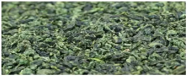 铁观音是什么茶树种的 | 农业常识