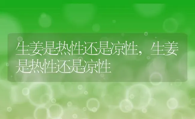 生姜是热性还是凉性,生姜是热性还是凉性 | 养殖常见问题