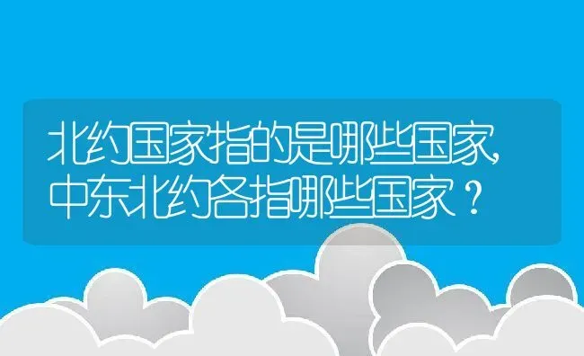 北约国家指的是哪些国家,中东北约各指哪些国家？ | 养殖常见问题