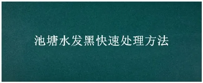 池塘水发黑快速处理方法 | 农业答疑