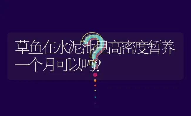 草鱼在水泥池里高密度暂养一个月可以吗? | 养殖问题解答