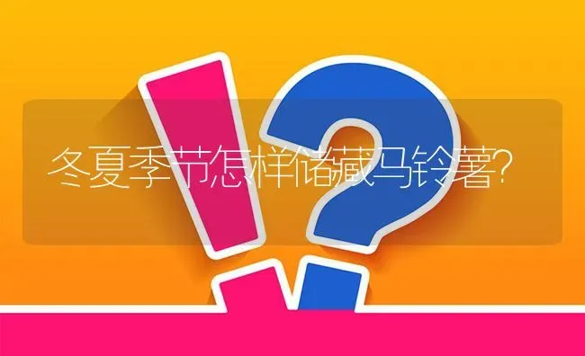 冬夏季节怎样储藏马铃薯? | 养殖问题解答