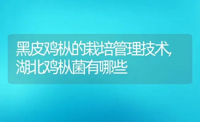 黑皮鸡枞的栽培管理技术,湖北鸡枞菌有哪些 | 养殖常见问题