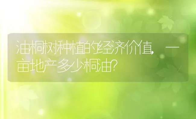 油桐树种植的经济价值,一亩地产多少桐油？ | 养殖常见问题