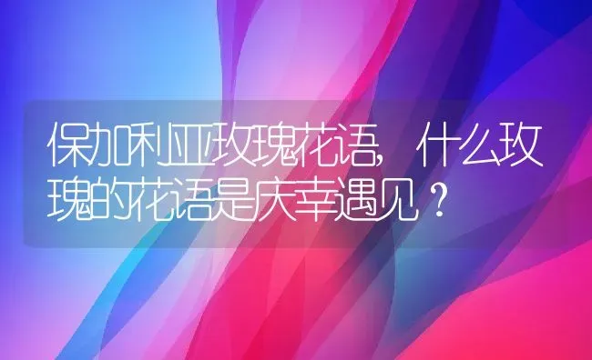 保加利亚玫瑰花语,什么玫瑰的花语是庆幸遇见？ | 养殖常见问题