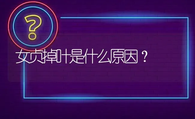 女贞掉叶是什么原因? | 养殖问题解答