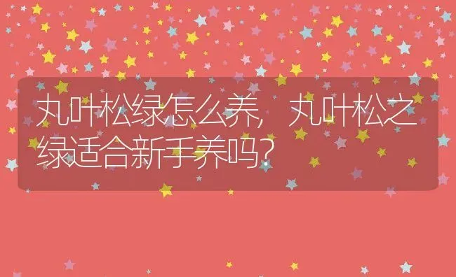 丸叶松绿怎么养,丸叶松之绿适合新手养吗？ | 养殖常见问题