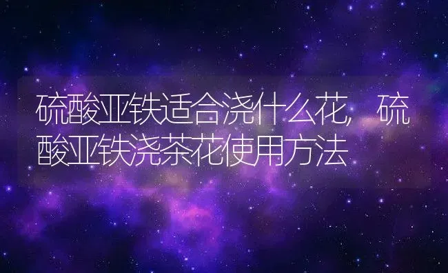 硫酸亚铁适合浇什么花,硫酸亚铁浇茶花使用方法 | 养殖常见问题