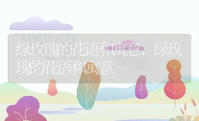 绿玫瑰的花语和寓意,绿玫瑰的花语和寓意 | 养殖常见问题