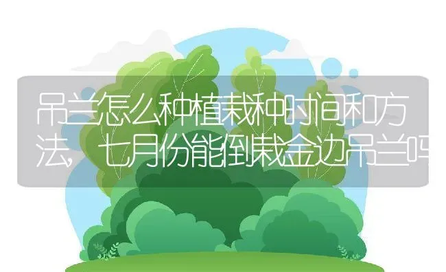 吊兰怎么种植栽种时间和方法,七月份能倒栽金边吊兰吗 | 养殖常见问题