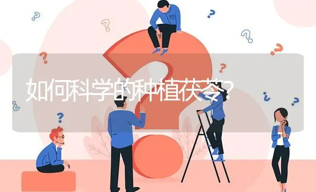 如何科学的种植茯苓? | 养殖问题解答