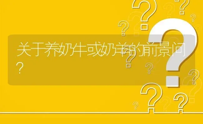 关于养奶牛或奶羊的前景问? | 养殖问题解答