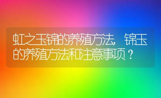 虹之玉锦的养殖方法,锦玉的养殖方法和注意事项？ | 养殖常见问题