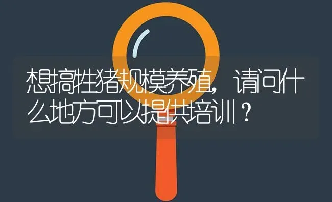 想搞牲猪规模养殖,请问什么地方可以提供培训? | 养殖问题解答