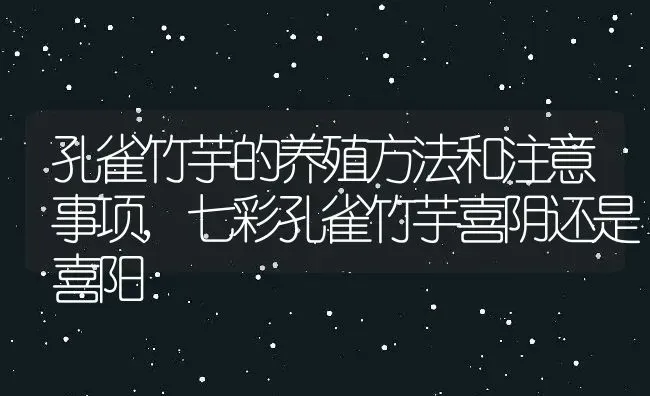 孔雀竹芋的养殖方法和注意事项,七彩孔雀竹芋喜阴还是喜阳 | 养殖常见问题
