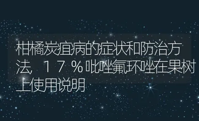 柑橘炭疽病的症状和防治方法,17%吡唑氟环唑在果树上使用说明 | 养殖常见问题