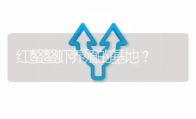 红螯螯虾养殖的基地? | 养殖问题解答