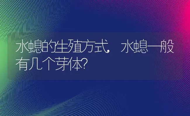 水螅的生殖方式,水螅一般有几个芽体？ | 养殖常见问题