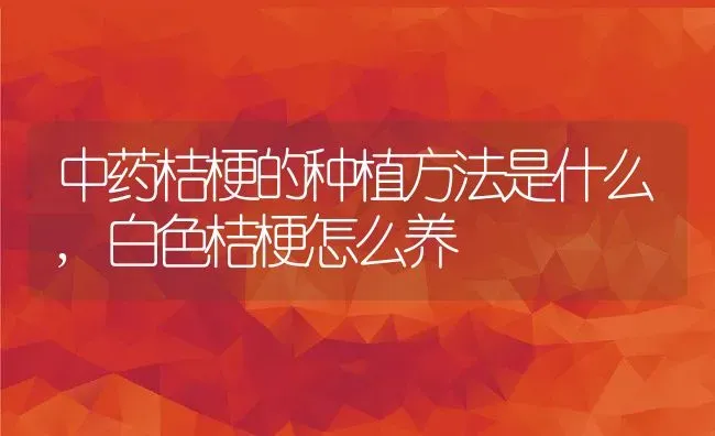 中药桔梗的种植方法是什么,白色桔梗怎么养 | 养殖常见问题