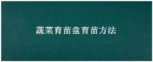 蔬菜育苗盘育苗方法 | 农业问题