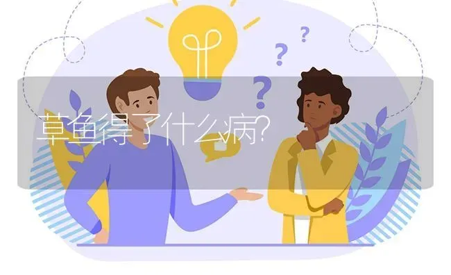 草鱼得了什么病? | 养殖问题解答