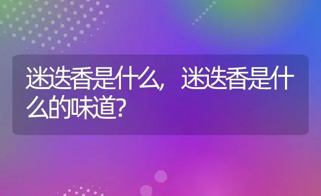 迷迭香是什么,迷迭香是什么的味道？ | 养殖常见问题