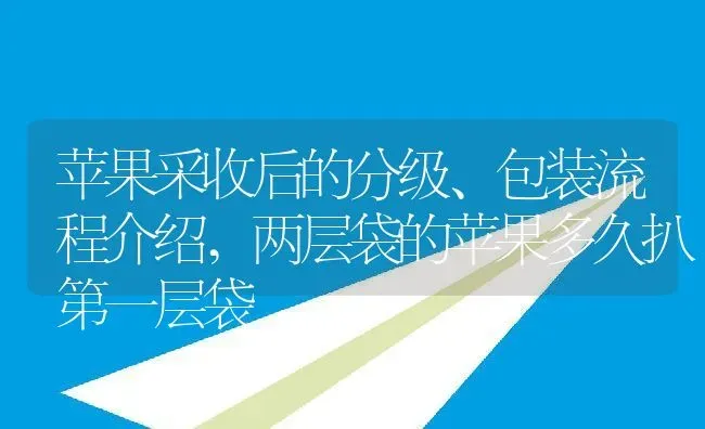 蝴蝶兰喜阴还是喜阳,怎么饲养蝴蝶兰？它是喜阴还是喜阳？ | 养殖常见问题