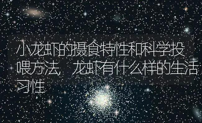 桃子什么时候成熟,桃子什么时候成熟 | 养殖常见问题