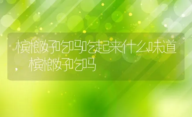 槟榔好吃吗吃起来什么味道,槟榔好吃吗 | 养殖常见问题
