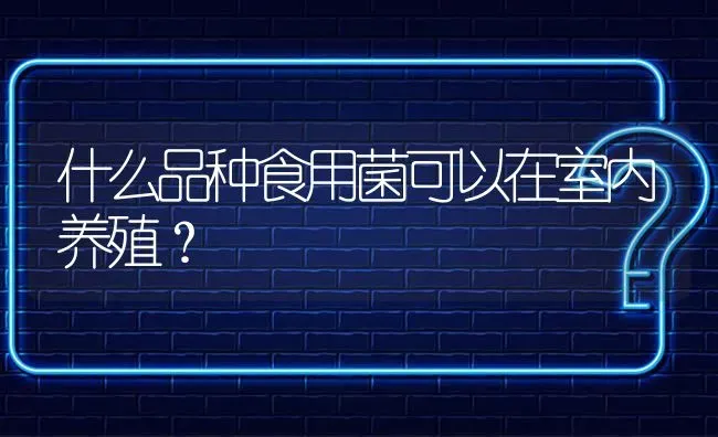 什么品种食用菌可以在室内养殖? | 养殖问题解答