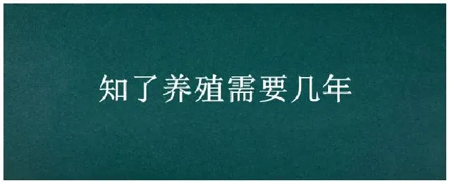 知了养殖需要几年 | 三农答疑