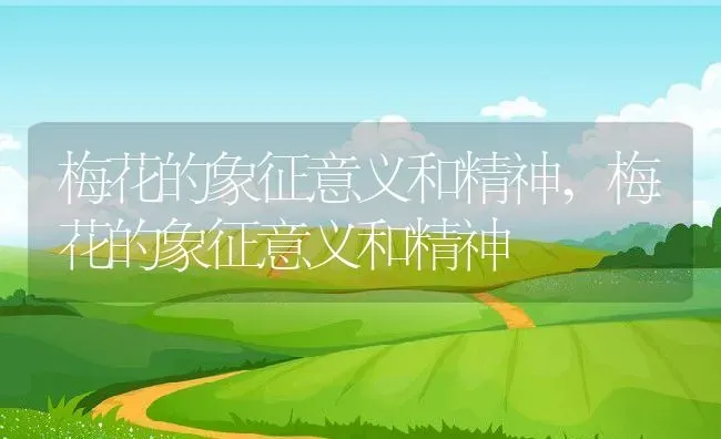 梅花的象征意义和精神,梅花的象征意义和精神 | 养殖常见问题