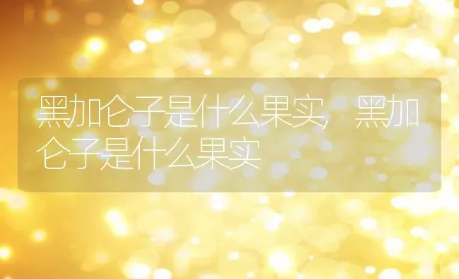 黑加仑子是什么果实,黑加仑子是什么果实 | 养殖常见问题
