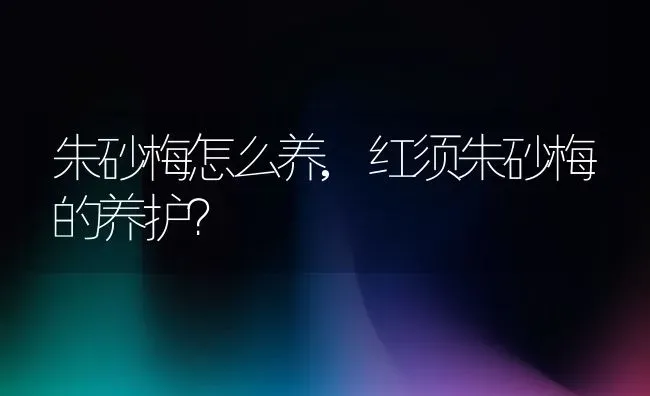 朱砂梅怎么养,红须朱砂梅的养护？ | 养殖常见问题