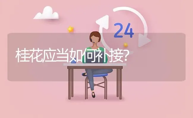 桂花应当如何补接? | 养殖问题解答