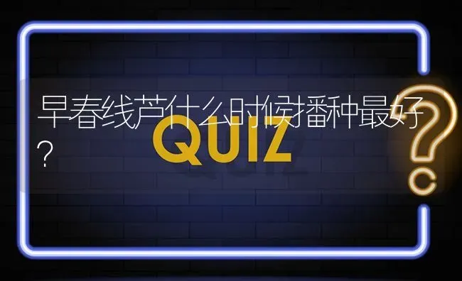 早春线芦什么时候播种最好? | 养殖问题解答