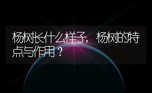 杨树长什么样子,杨树的特点与作用？ | 养殖常见问题