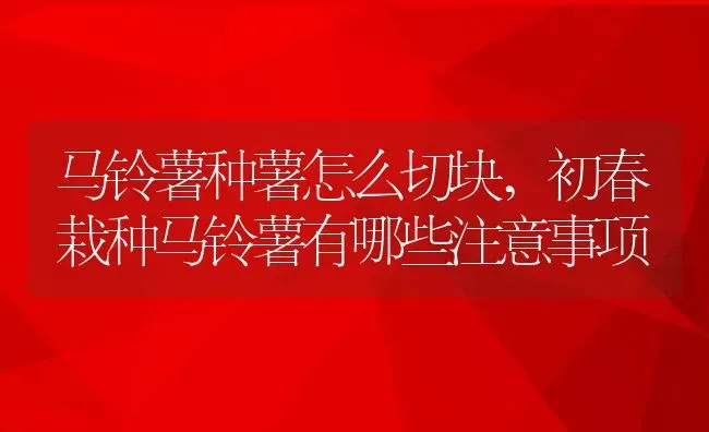 马铃薯种薯怎么切块,初春栽种马铃薯有哪些注意事项 | 养殖常见问题