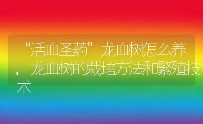 “活血圣药”龙血树怎么养,龙血树的栽培方法和繁殖技术 | 养殖常见问题