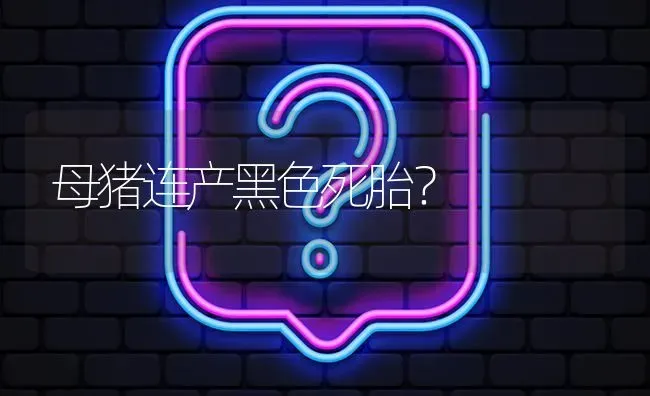 母猪连产黑色死胎? | 养殖问题解答
