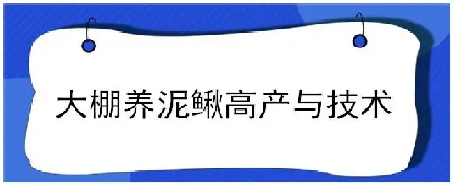 大棚养泥鳅高产与技术 | 三农答疑