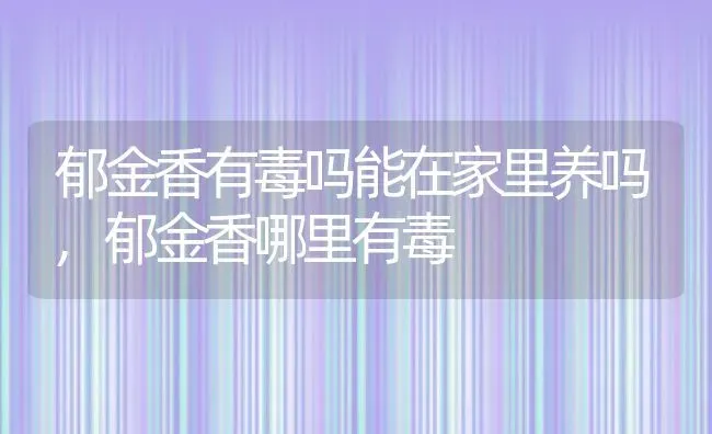 郁金香有毒吗能在家里养吗,郁金香哪里有毒 | 养殖常见问题